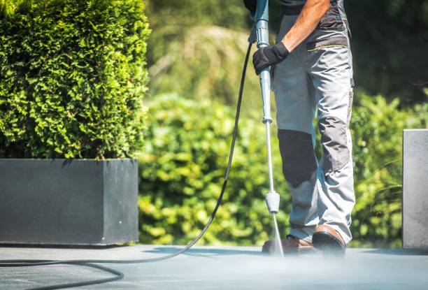 Best Roof Washing  in Wailua Homesteads, HI